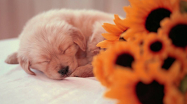 6371452160701643664388411.jpg 6371452160701643664388411.jpg